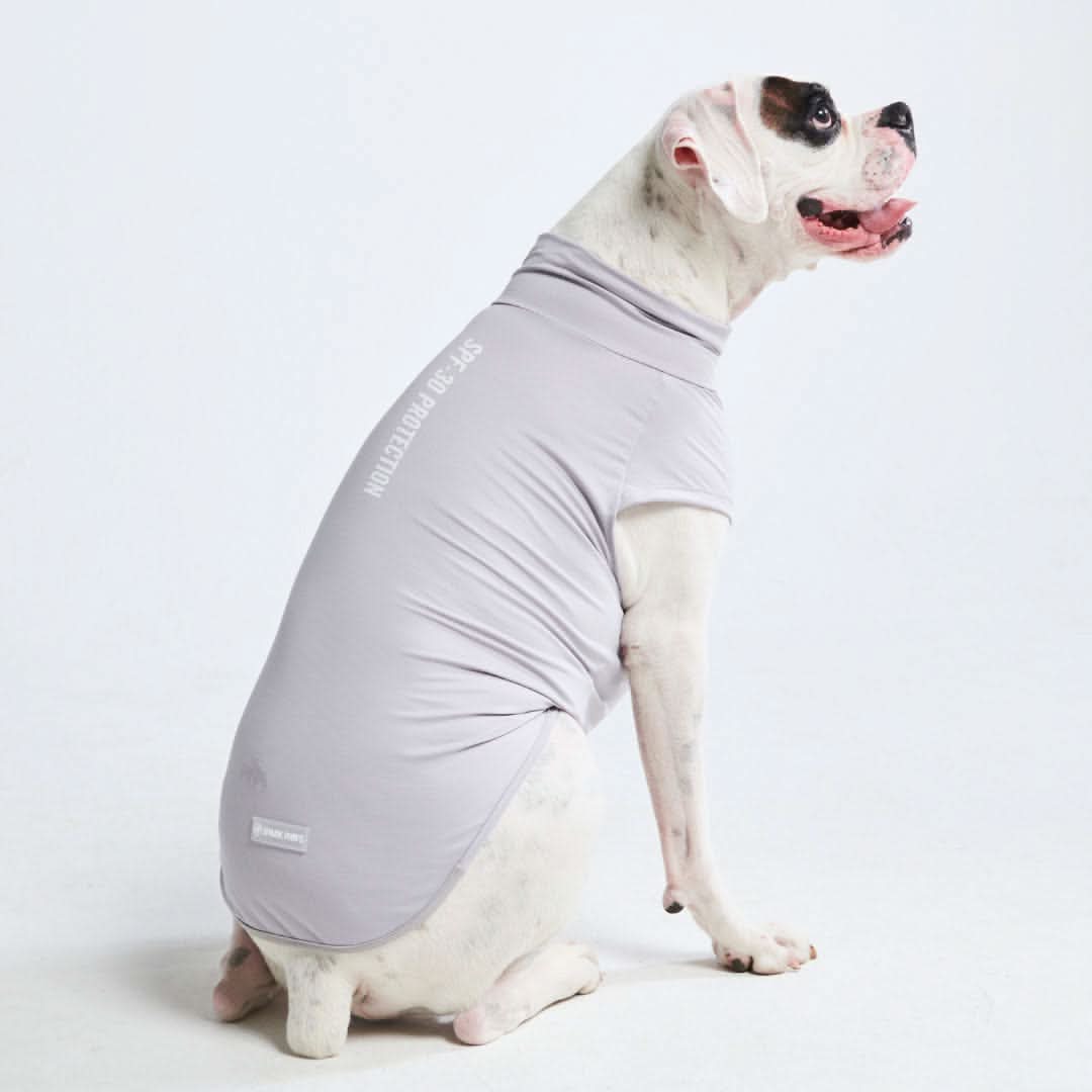 Spark Paws - Sunblock Dog T-Shirt - Grey