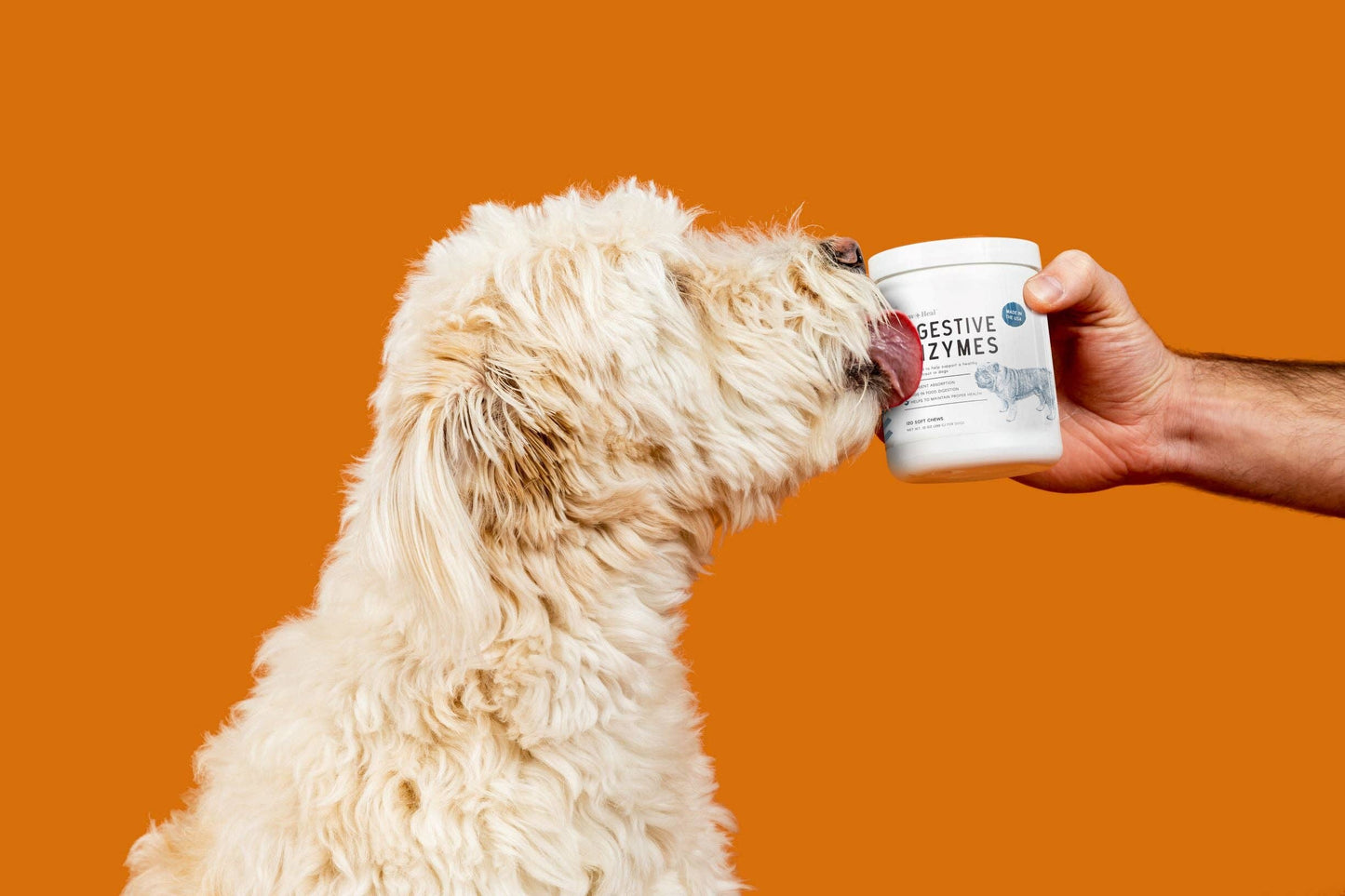 Chew + Heal - Digestive Enzymes with Probiotics