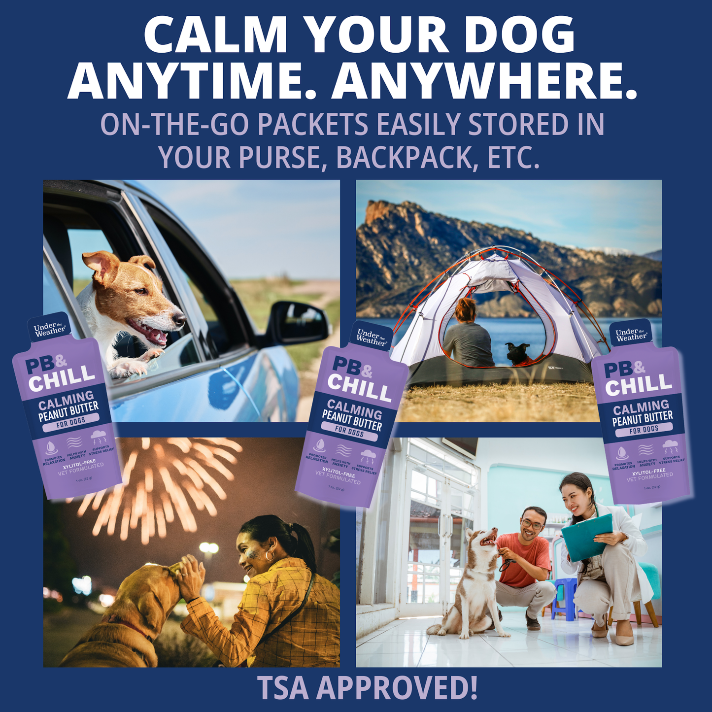 Under the Weather Pet - PB&Chill Calming Peanut Butter Packets For Dogs Single Severing 1 oz
