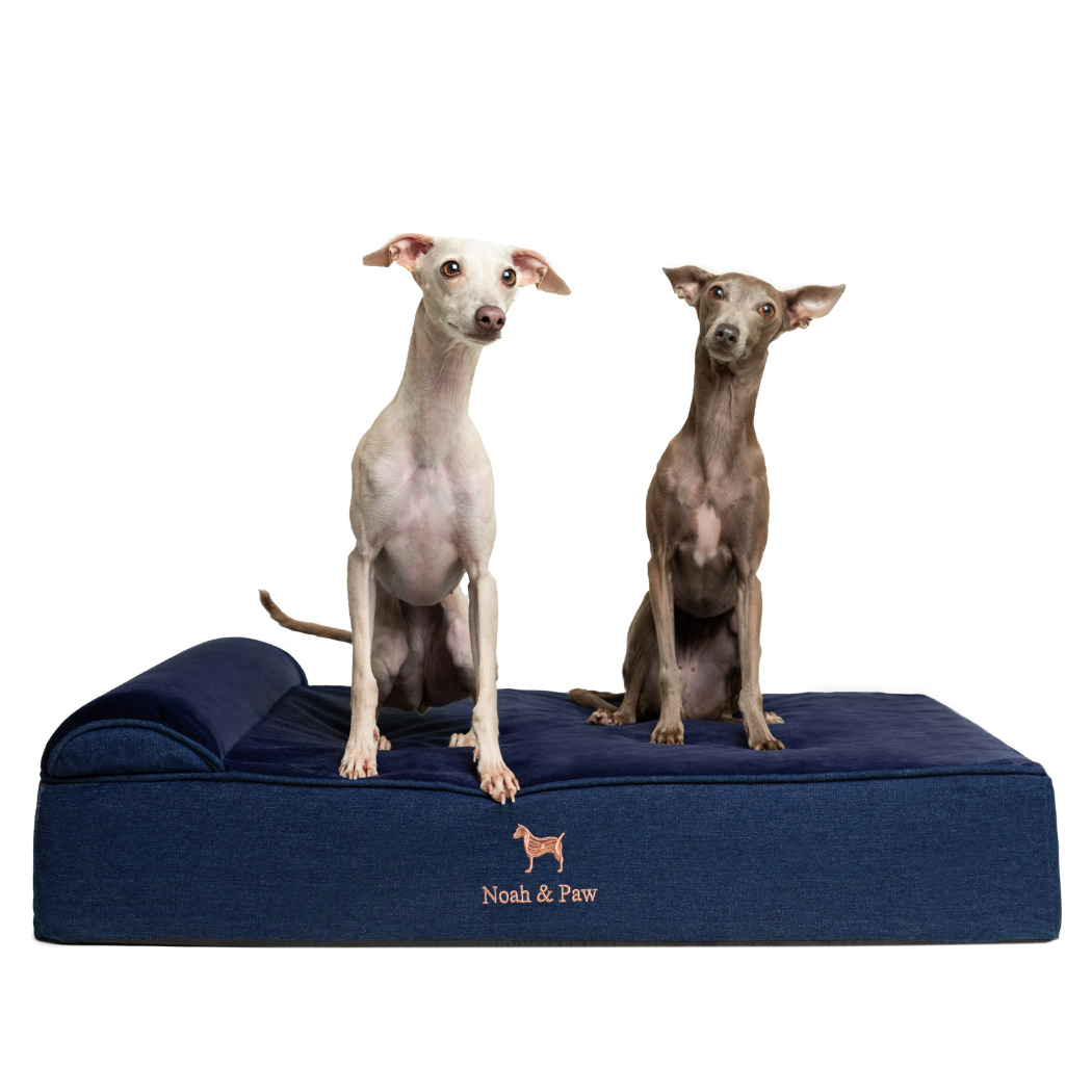 NOAH AND PAW LLC - Denim Orthopedic Pet Bed, Memory Foam, Infused with Cooling Gel - Classic