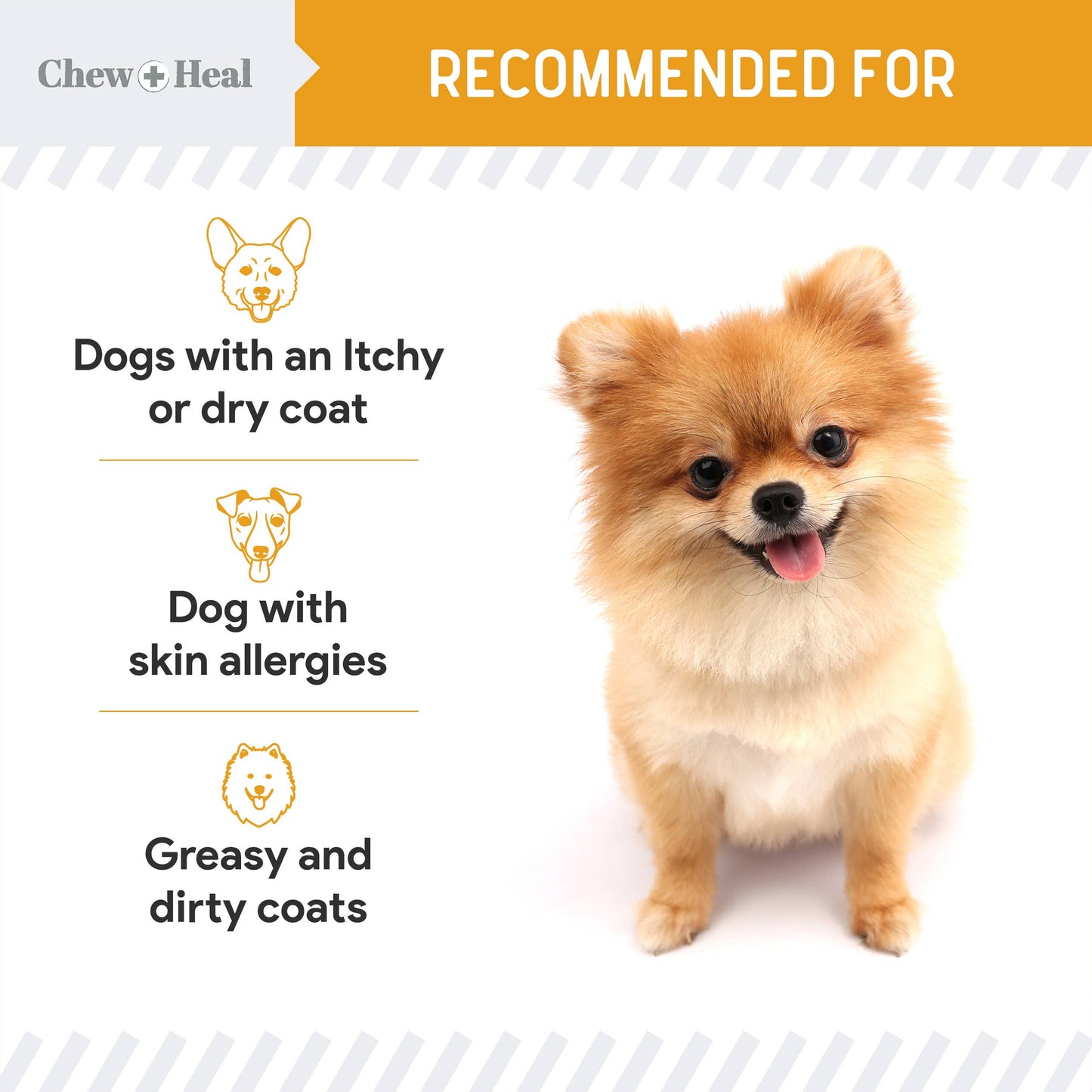Chew + Heal - Norwegian Salmon Oil Skin & Coat Supplement for Dogs & Cats