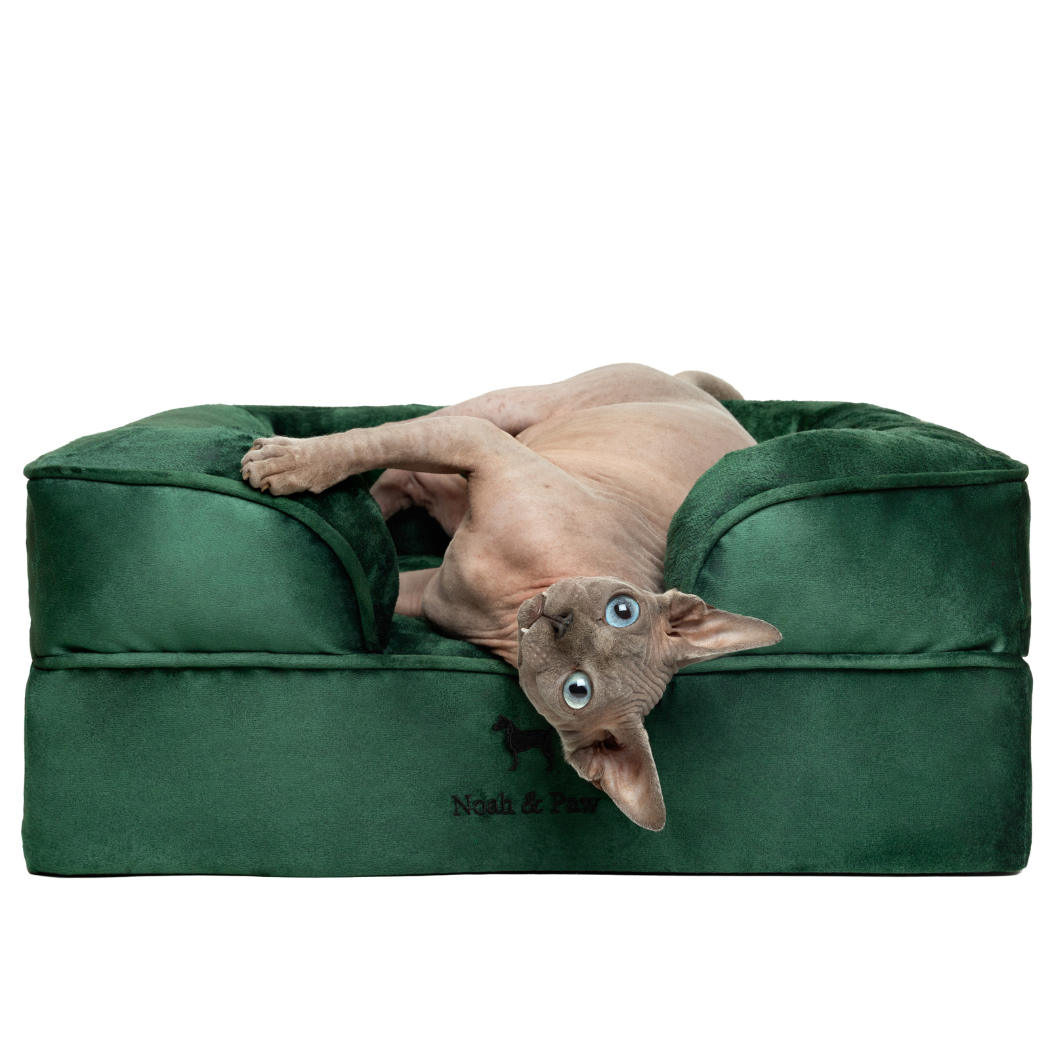 NOAH AND PAW LLC - Velvet Orthopedic Pet Bed, Memory Foam, Infused with Cooling Gel