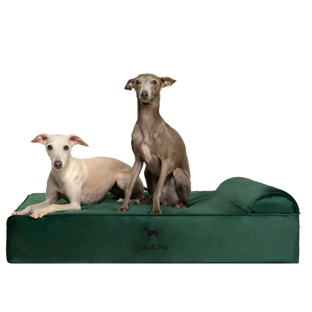 NOAH AND PAW LLC - Velvet Orthopedic Pet Bed, Memory Foam, Infused with Cooling Gel - Classic