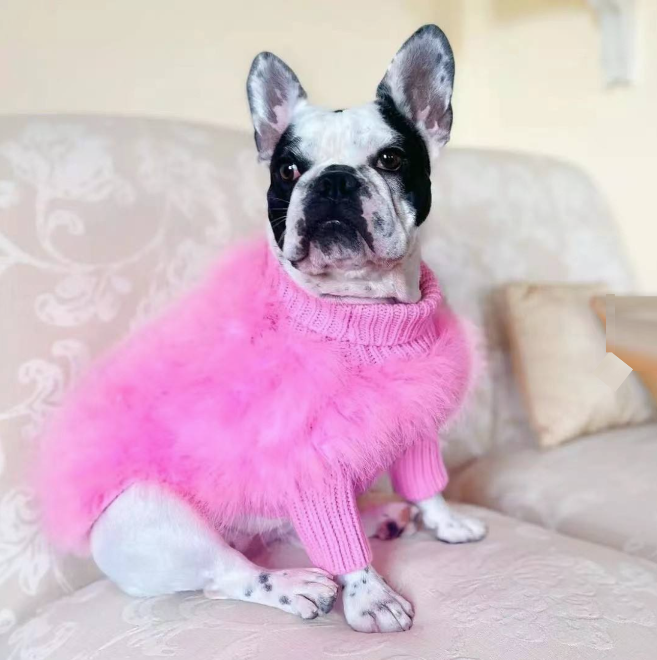 Fuzzy Dog Sweater