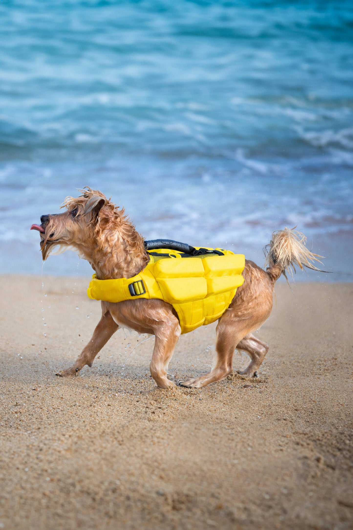 NOAH AND PAW LLC - Human Standards Dog Lifejacket Design with 4x Foam Support for Max Floating - Yellow
