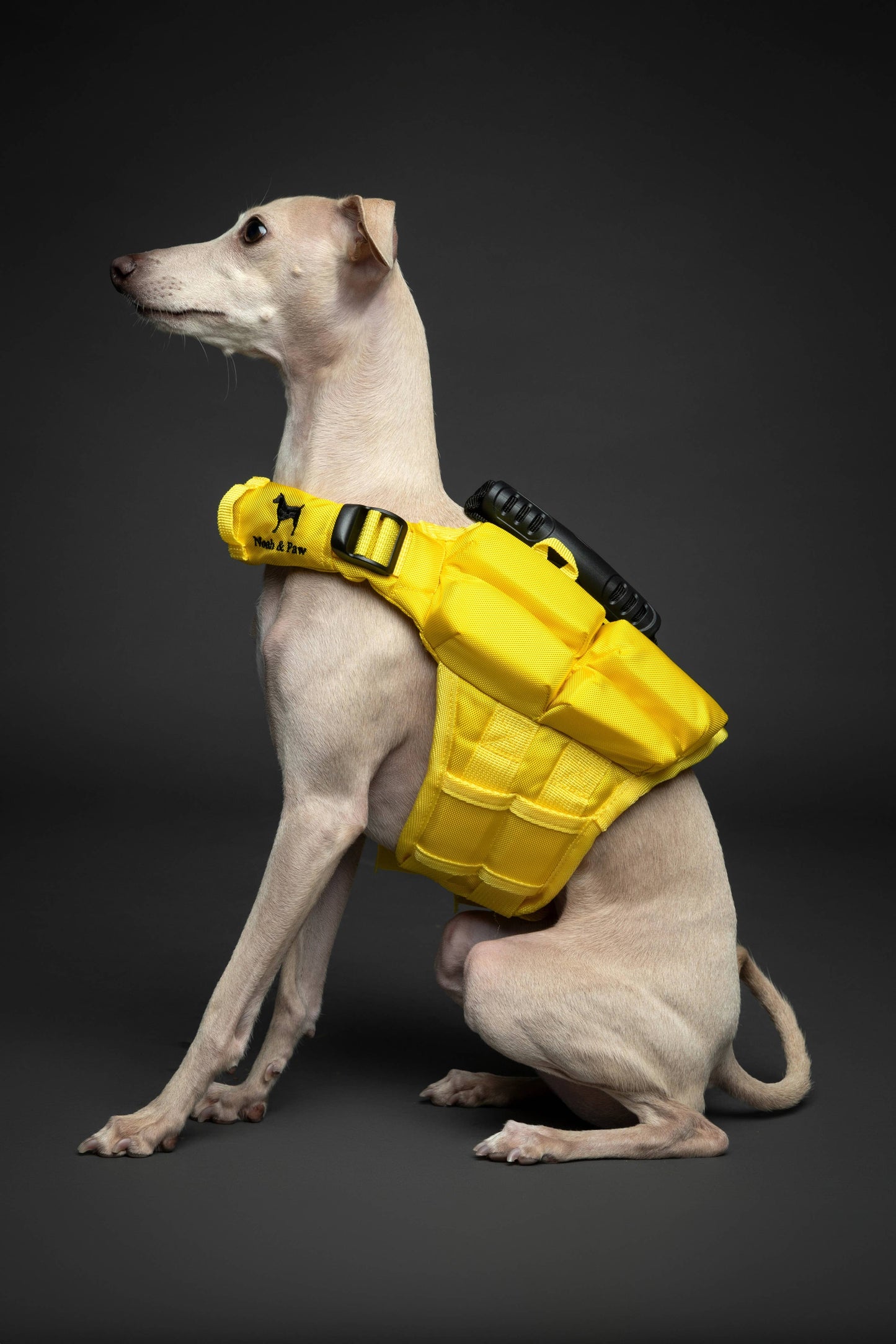 NOAH AND PAW LLC - Human Standards Dog Lifejacket Design with 4x Foam Support for Max Floating - Yellow