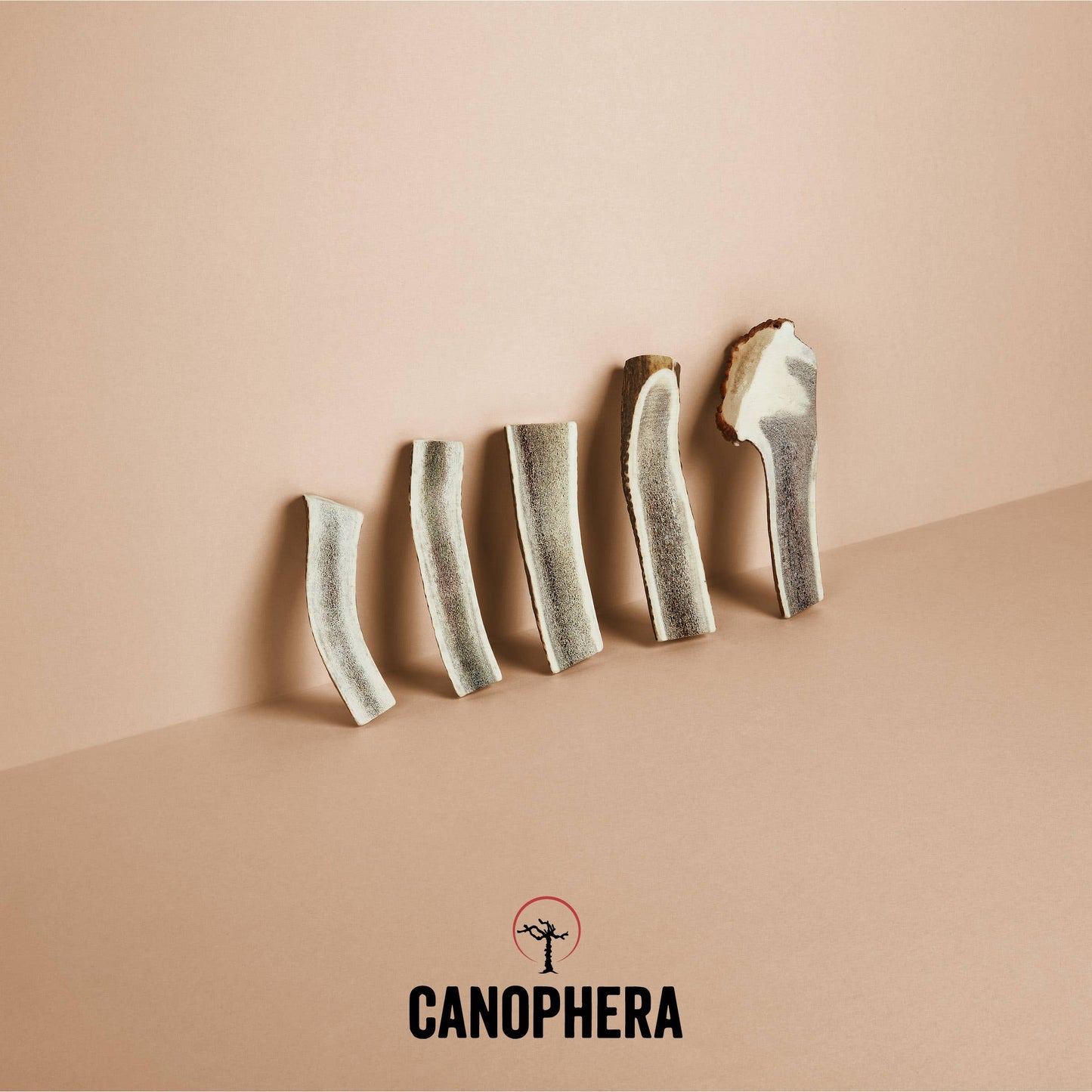 CANOPHERA LLC Red Deer Split Antlers