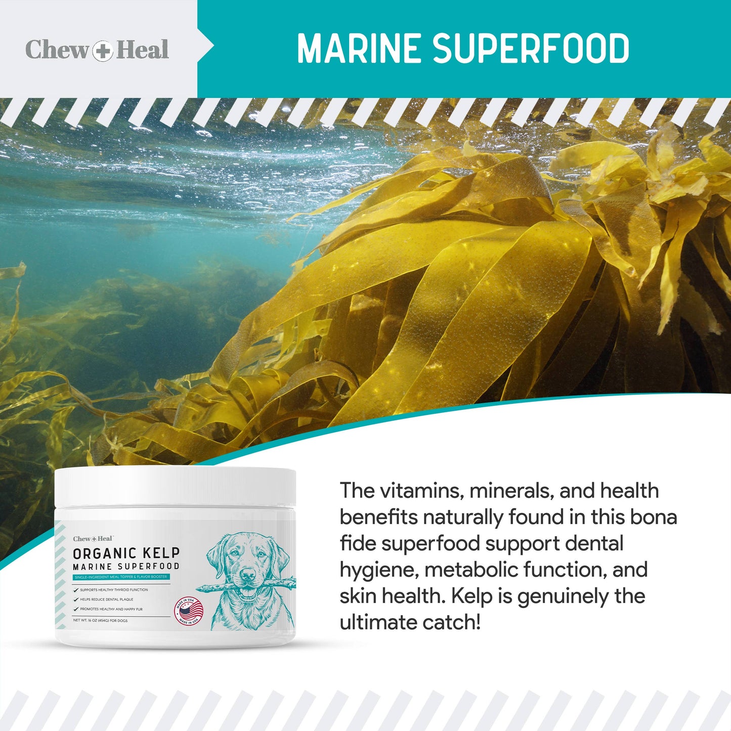 Chew + Heal - Organic Kelp Granules Marine Superfood Powder with Spoon