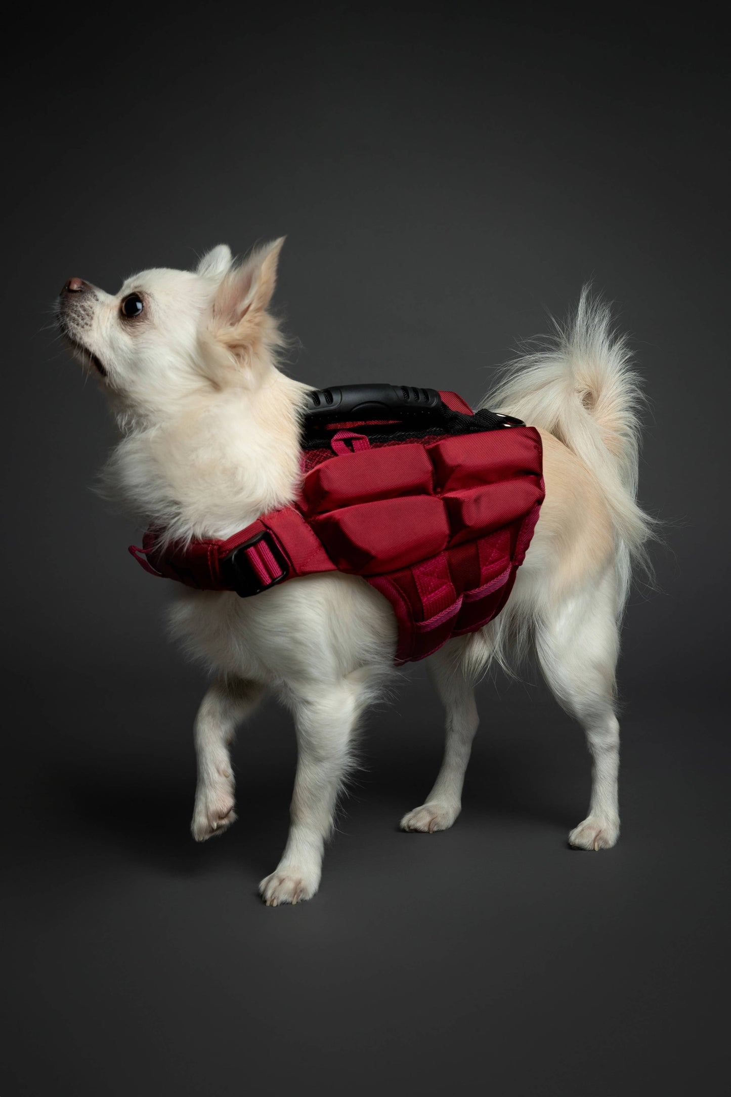 NOAH AND PAW LLC - Human Standards Dog Lifejacket Design with 4x Foam Support for Max Floating - Red