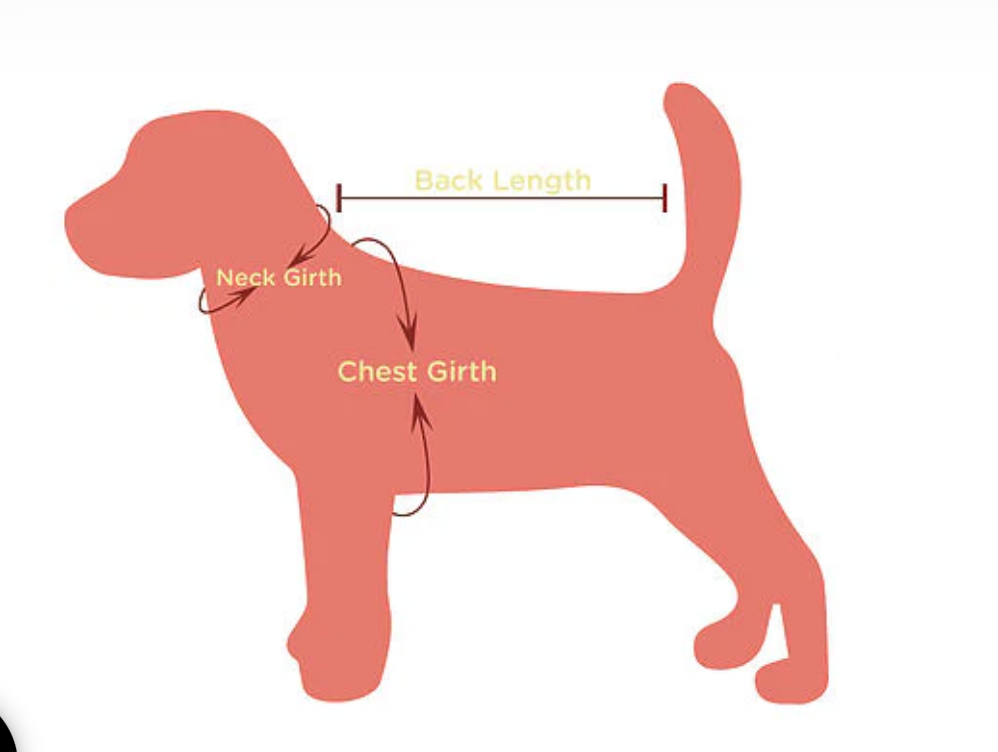 House of FurBaby - Halloween Dog Costume | Mommy's or Daddy's Little Pumpkin