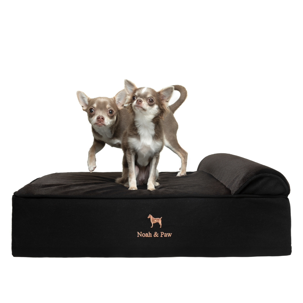 NOAH AND PAW LLC - Denim Orthopedic Pet Bed, Memory Foam, Infused with Cooling Gel - Classic