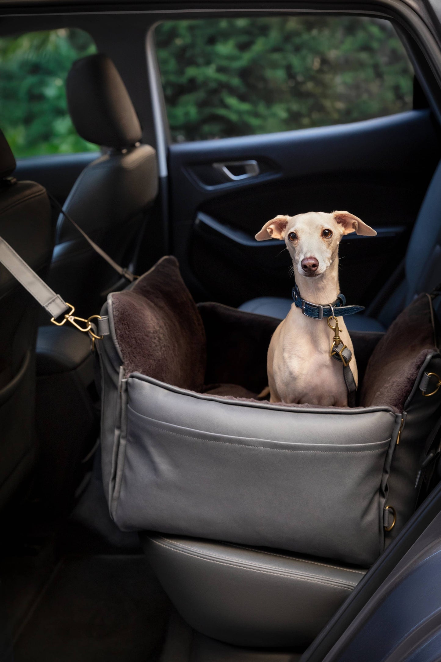 NOAH AND PAW LLC - Dog Car Seat Carrier Orthopedic Crushed Foam, Black, Vegan Leather