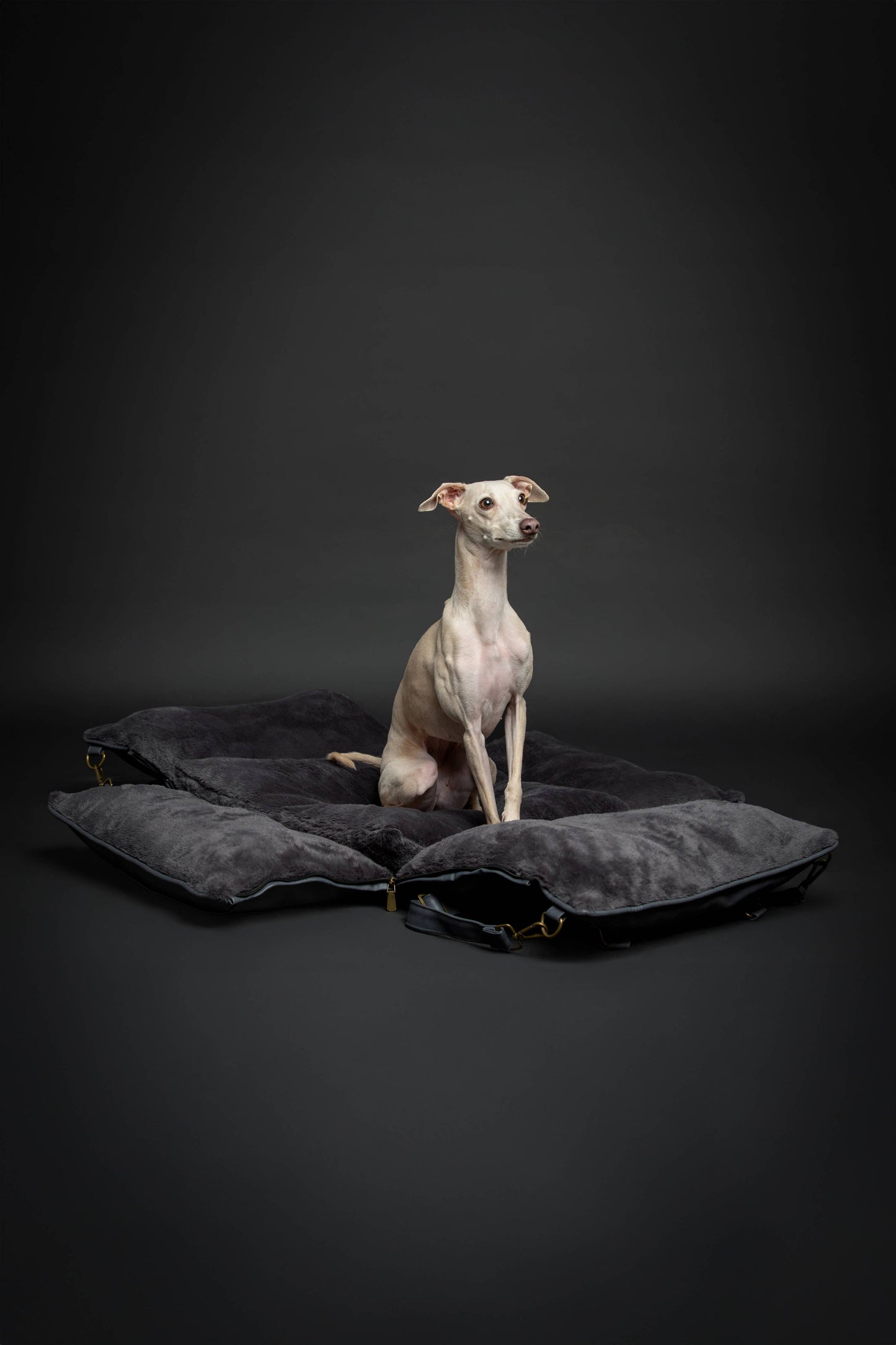 NOAH AND PAW LLC - Dog Car Seat Carrier Orthopedic Crushed Foam, Black, Vegan Leather