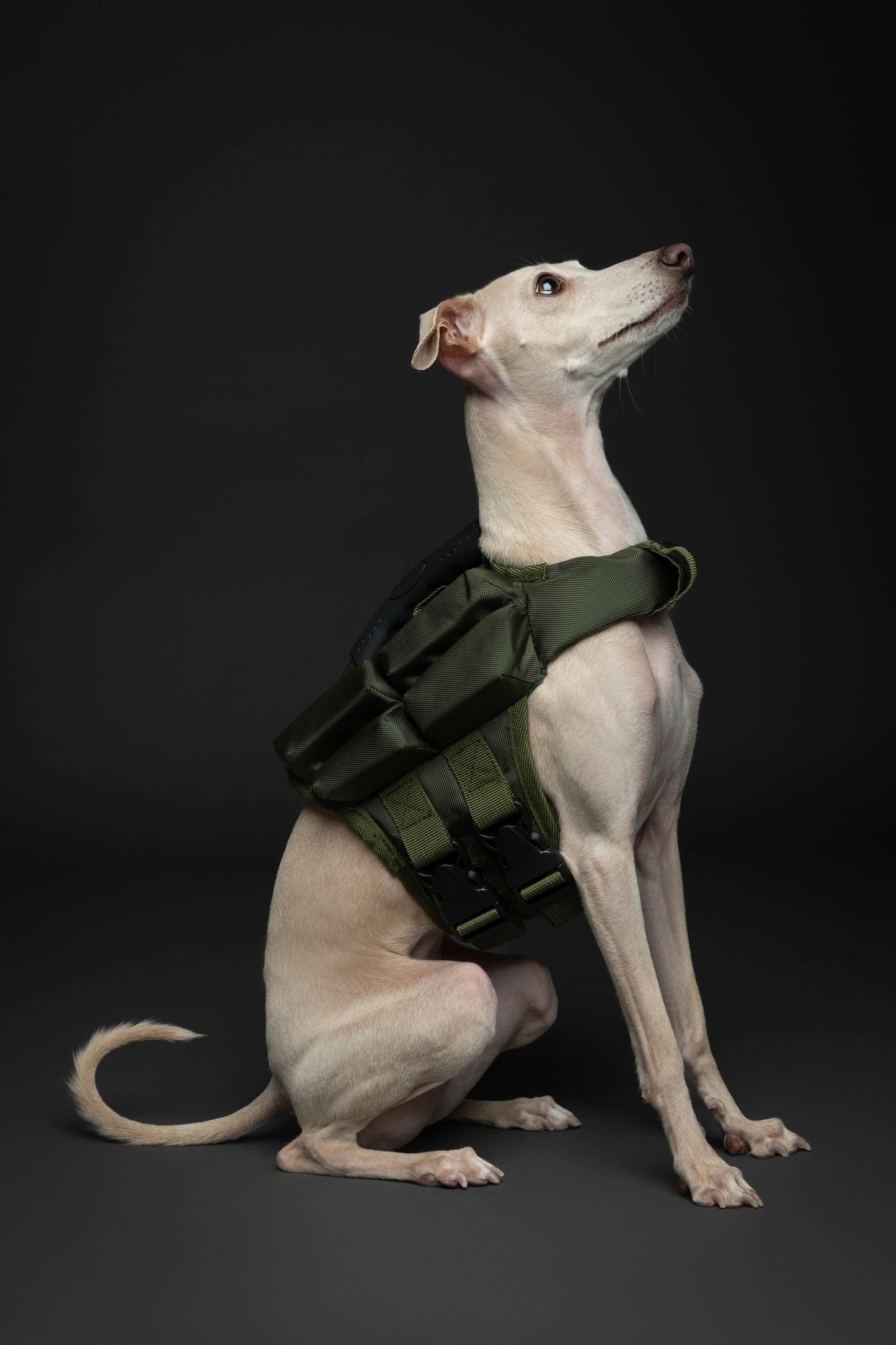 NOAH AND PAW LLC - Human Standards Dog Lifejacket Design with 4x Foam Support for Max Floating - Green