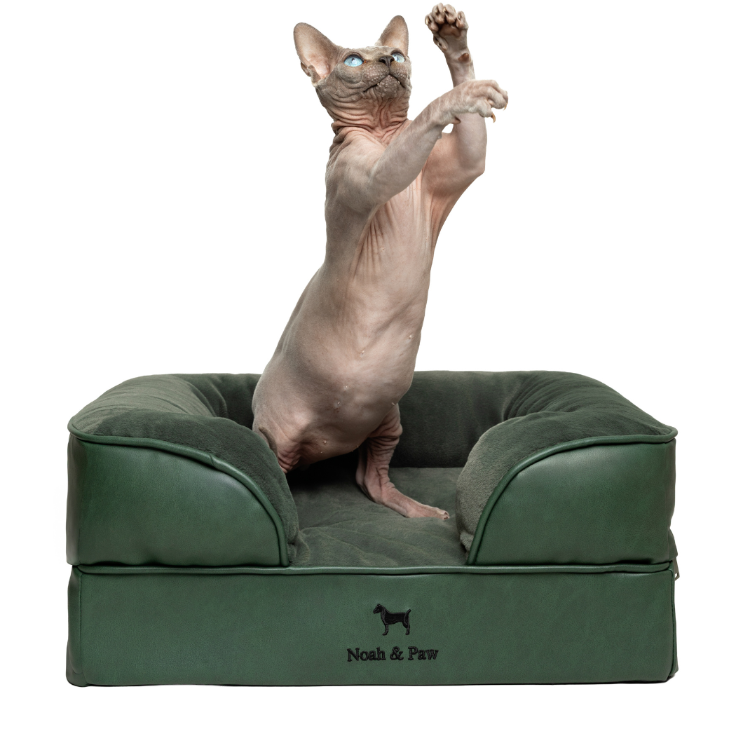 NOAH AND PAW LLC - Faux Leather, Orthopedic Pet Bed, Eggshell Memory Foam, Infused with Cooling Gel, Sofa Style
