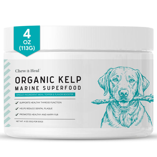 Chew + Heal - Organic Kelp Granules Marine Superfood Powder with Spoon