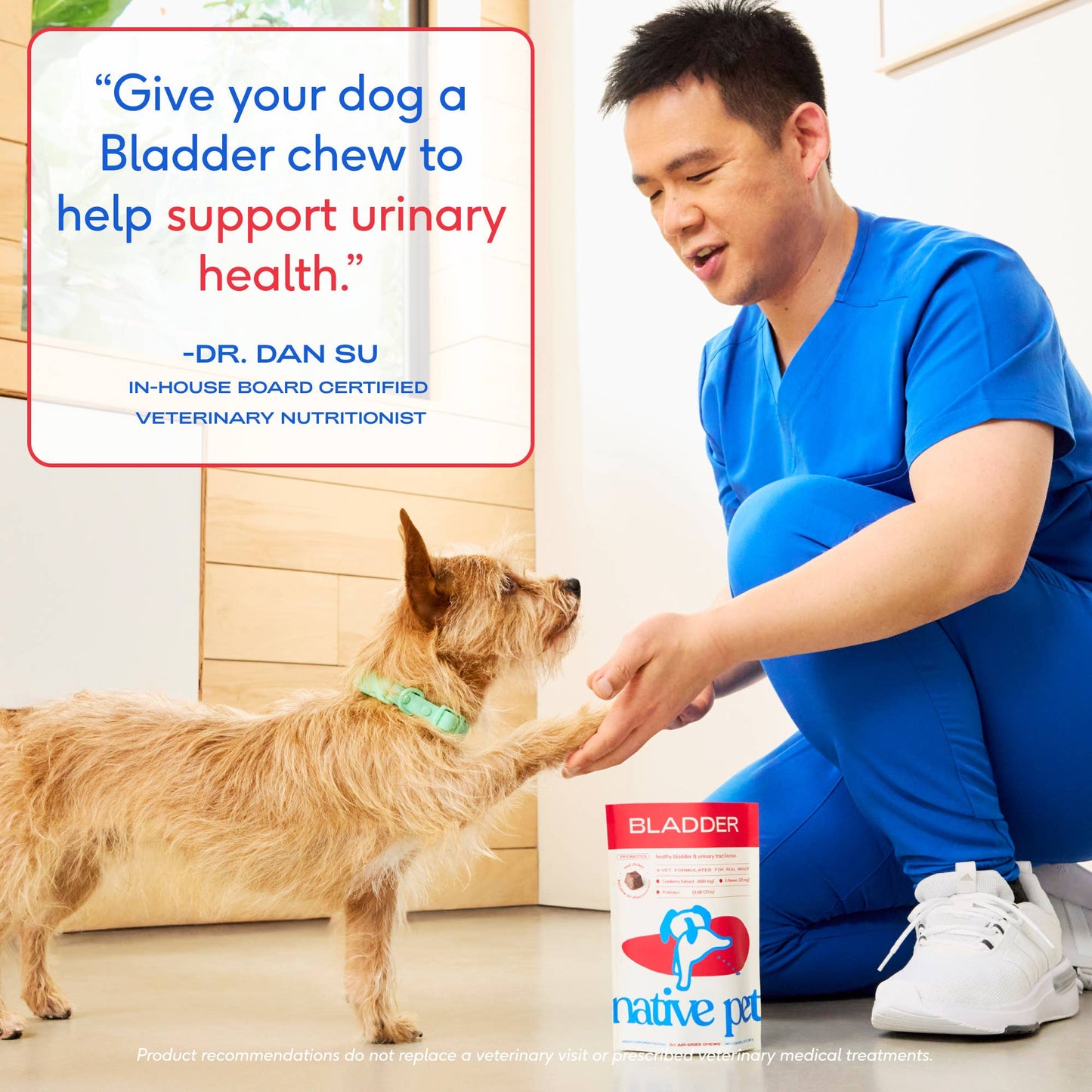 Native Pet - Cranberry Bladder Chews, Kidney & Urinary Supplement for Dog
