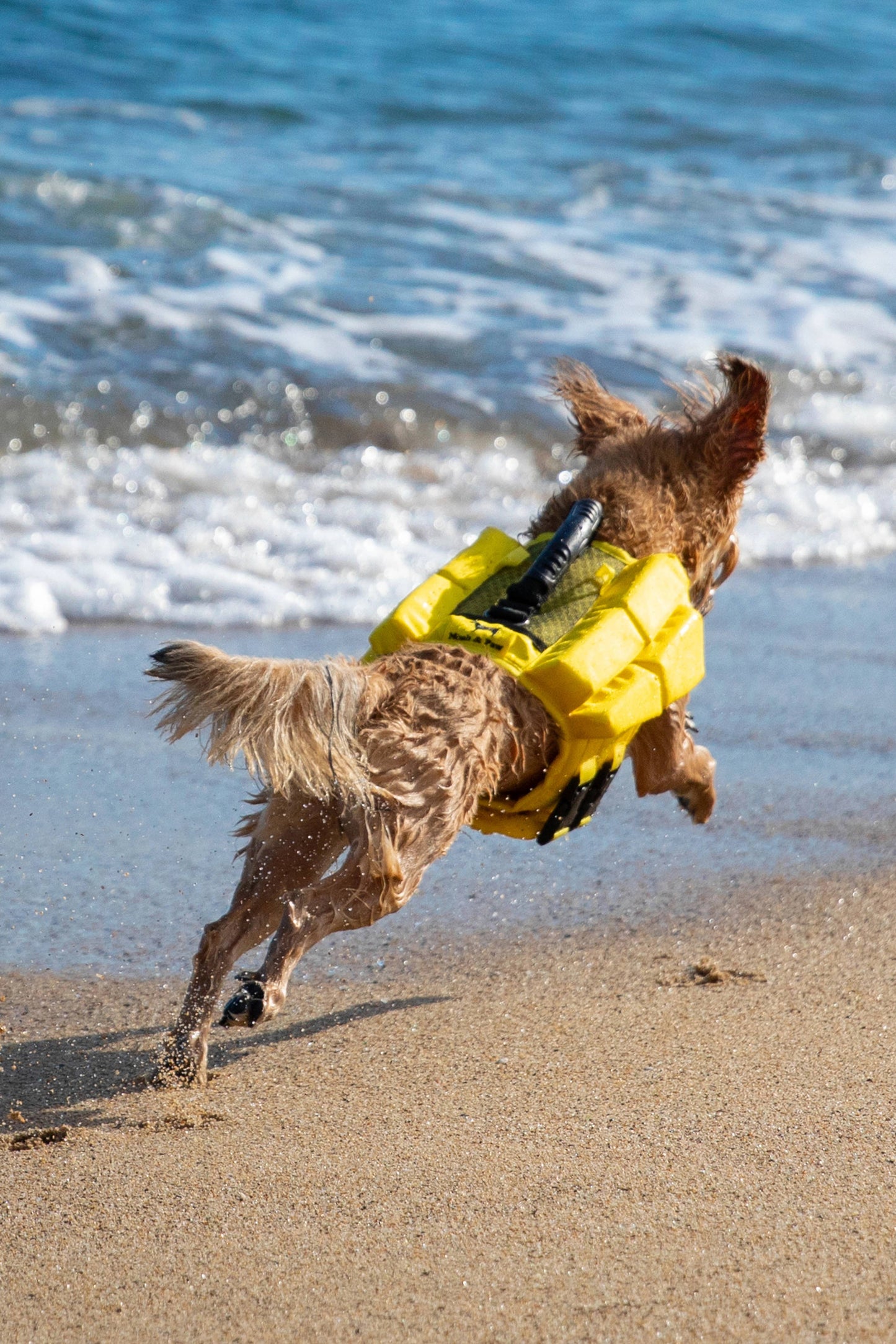 NOAH AND PAW LLC - Human Standards Dog Lifejacket Design with 4x Foam Support for Max Floating - Yellow