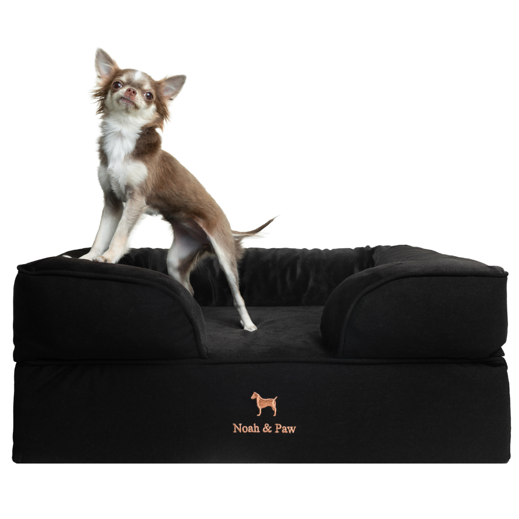 NOAH AND PAW LLC - Denim Orthopedic Pet Bed, Memory Foam, Infused with Cooling Gel
