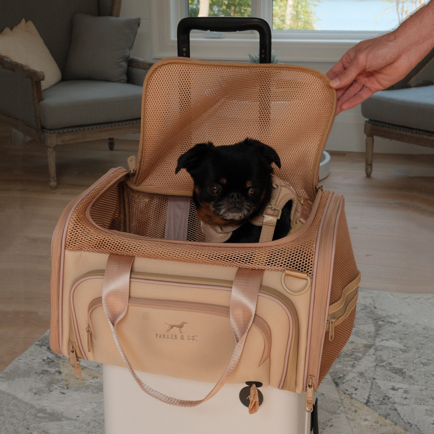 Parker & Co. - Airline Approved Travel Pet Carrier