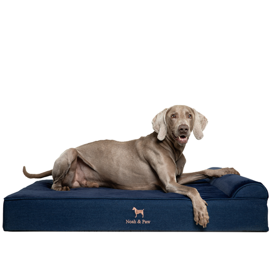NOAH AND PAW LLC - Denim Orthopedic Pet Bed, Memory Foam, Infused with Cooling Gel - Classic