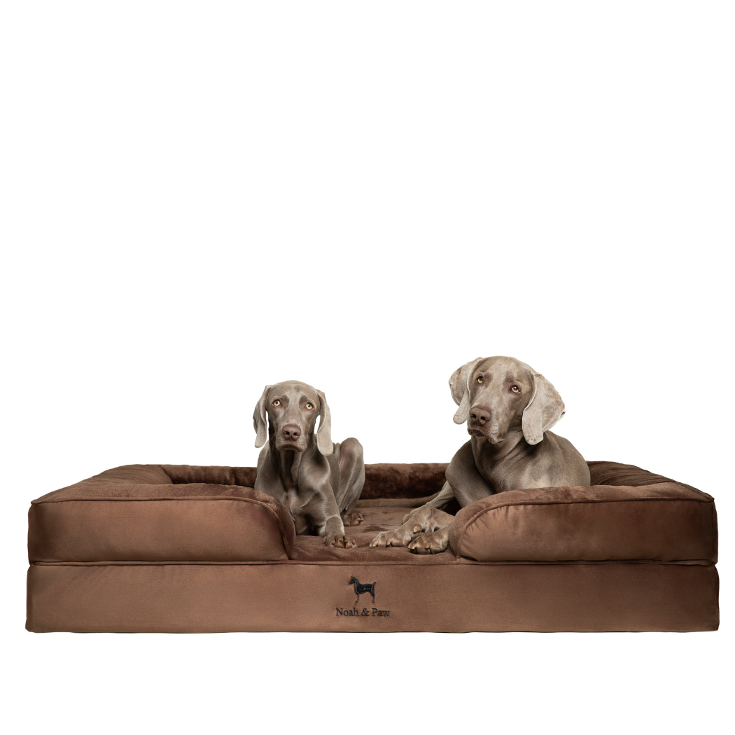NOAH AND PAW LLC - Velvet Orthopedic Pet Bed, Memory Foam, Infused with Cooling Gel