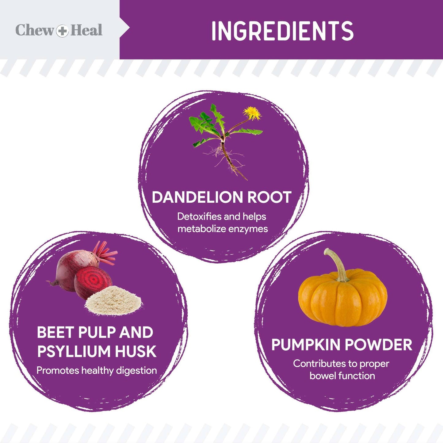 Chew + Heal - Chew + Heal Stop the Scoot Anal Gland & Bowel Support