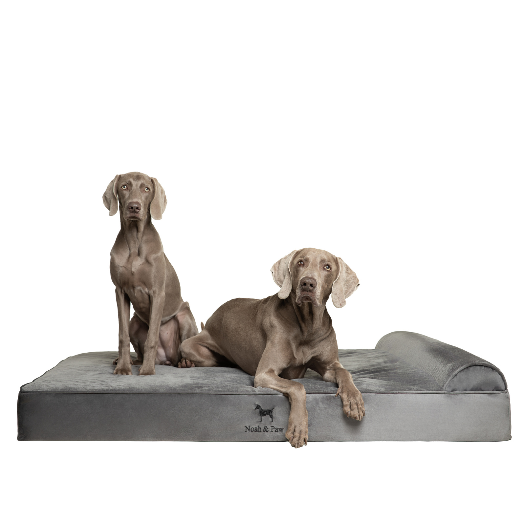 NOAH AND PAW LLC - Velvet Orthopedic Pet Bed, Memory Foam, Infused with Cooling Gel - Classic