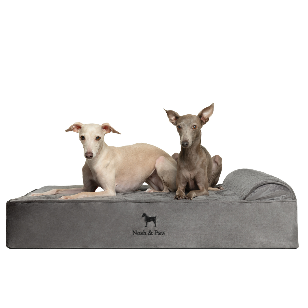 NOAH AND PAW LLC - Velvet Orthopedic Pet Bed, Memory Foam, Infused with Cooling Gel - Classic