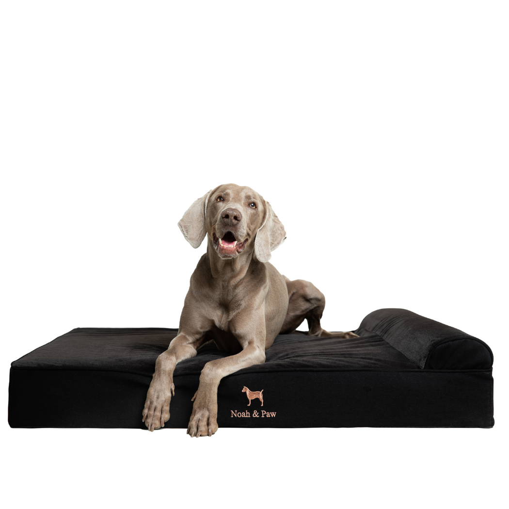 NOAH AND PAW LLC - Denim Orthopedic Pet Bed, Memory Foam, Infused with Cooling Gel - Classic