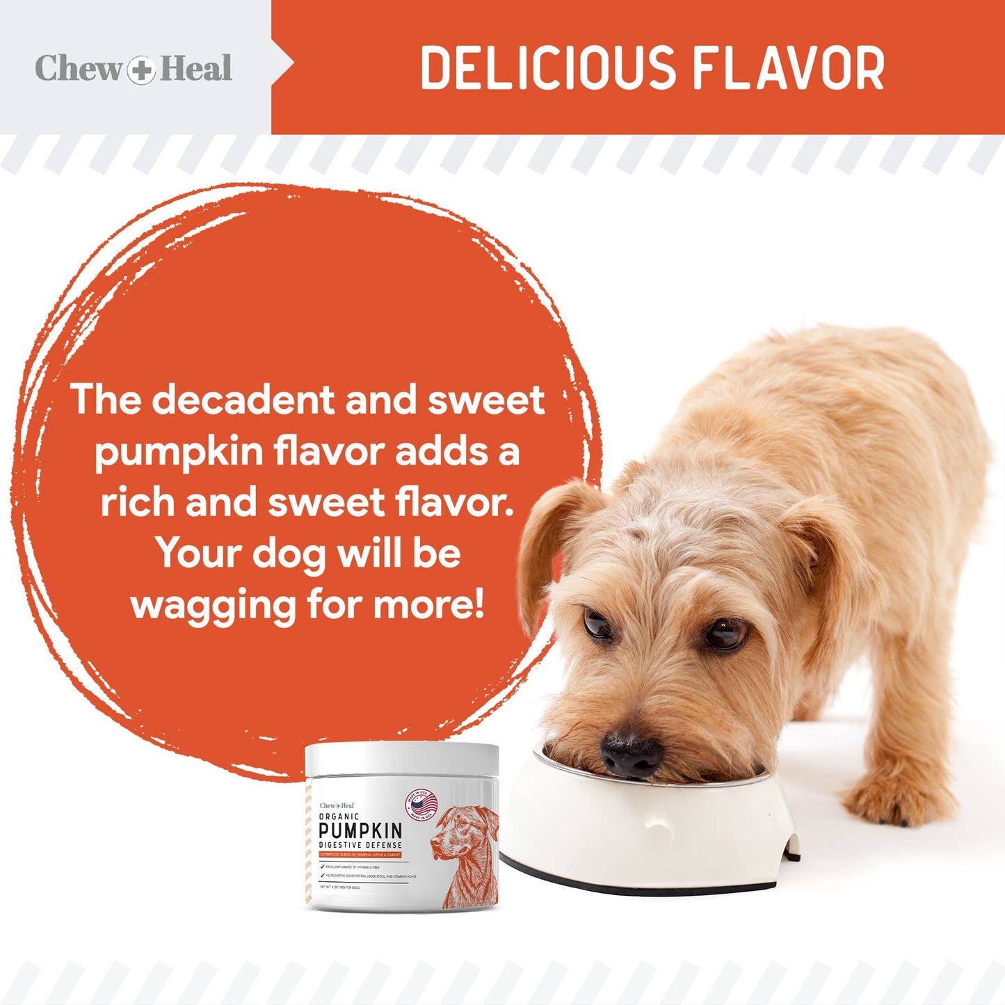 Chew + Heal - Organic Pumpkin Powder Blend, Digestive Defense for Dogs