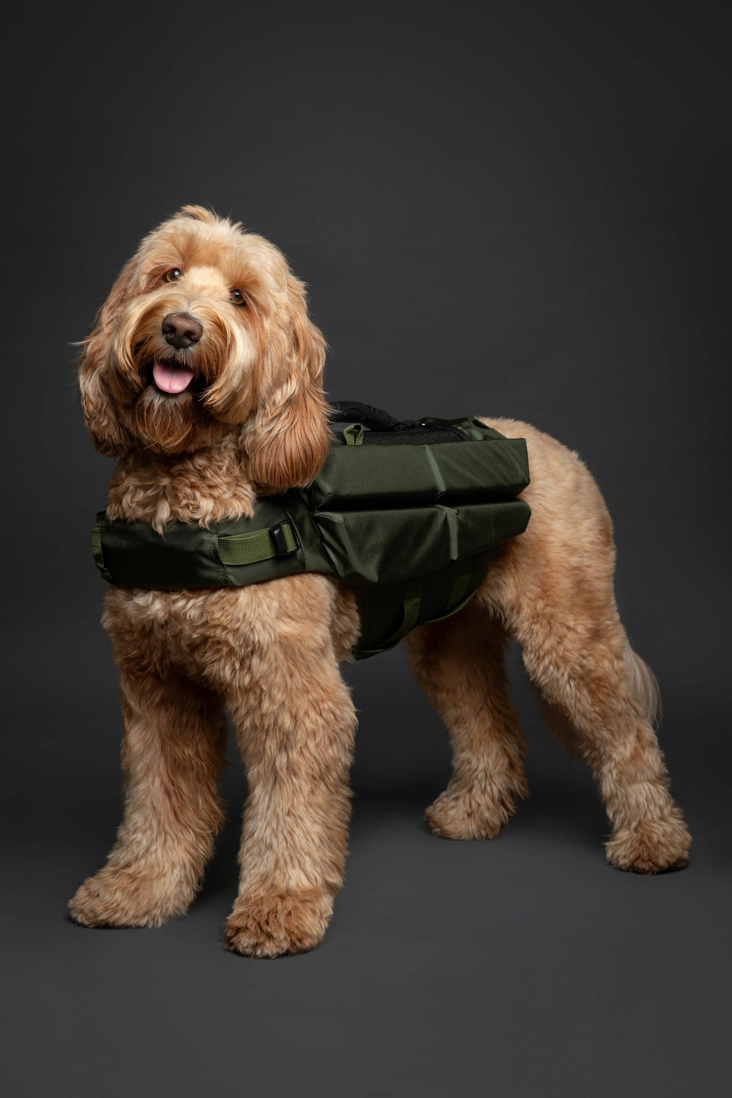 NOAH AND PAW LLC - Human Standards Dog Lifejacket Design with 4x Foam Support for Max Floating - Green