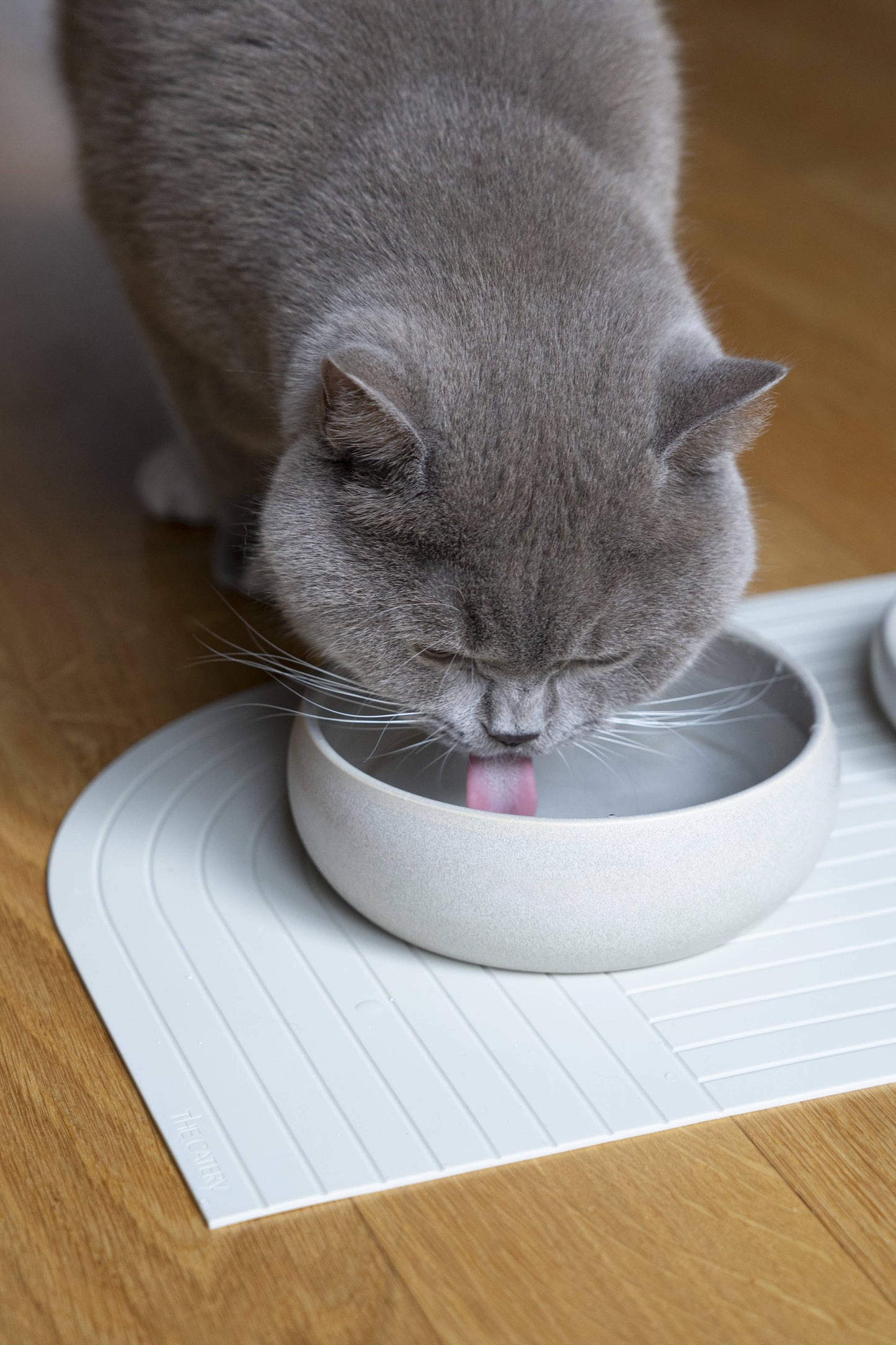 The Catery - Gourmet water bowl cream