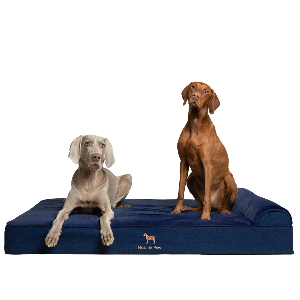 NOAH AND PAW LLC - Denim Orthopedic Pet Bed, Memory Foam, Infused with Cooling Gel - Classic