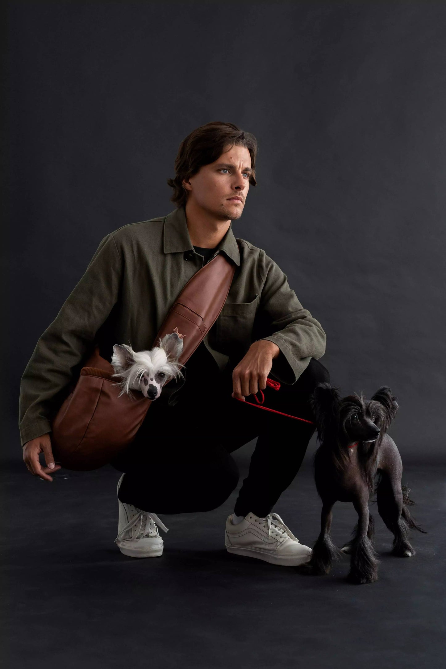 NOAH AND PAW LLC - Vegan Leather Pet sling Carrier 3x Safety