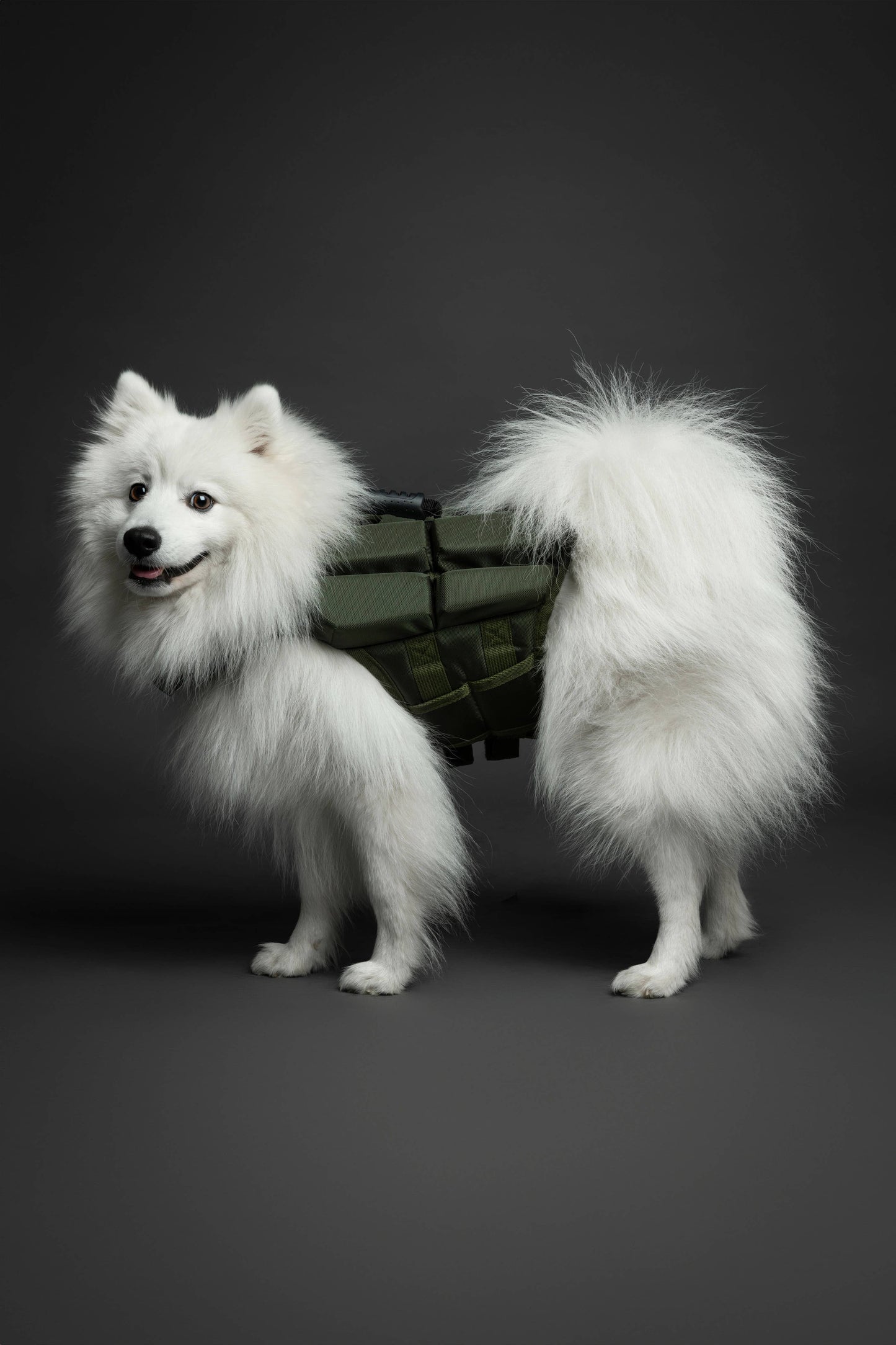 NOAH AND PAW LLC - Human Standards Dog Lifejacket Design with 4x Foam Support for Max Floating - Green