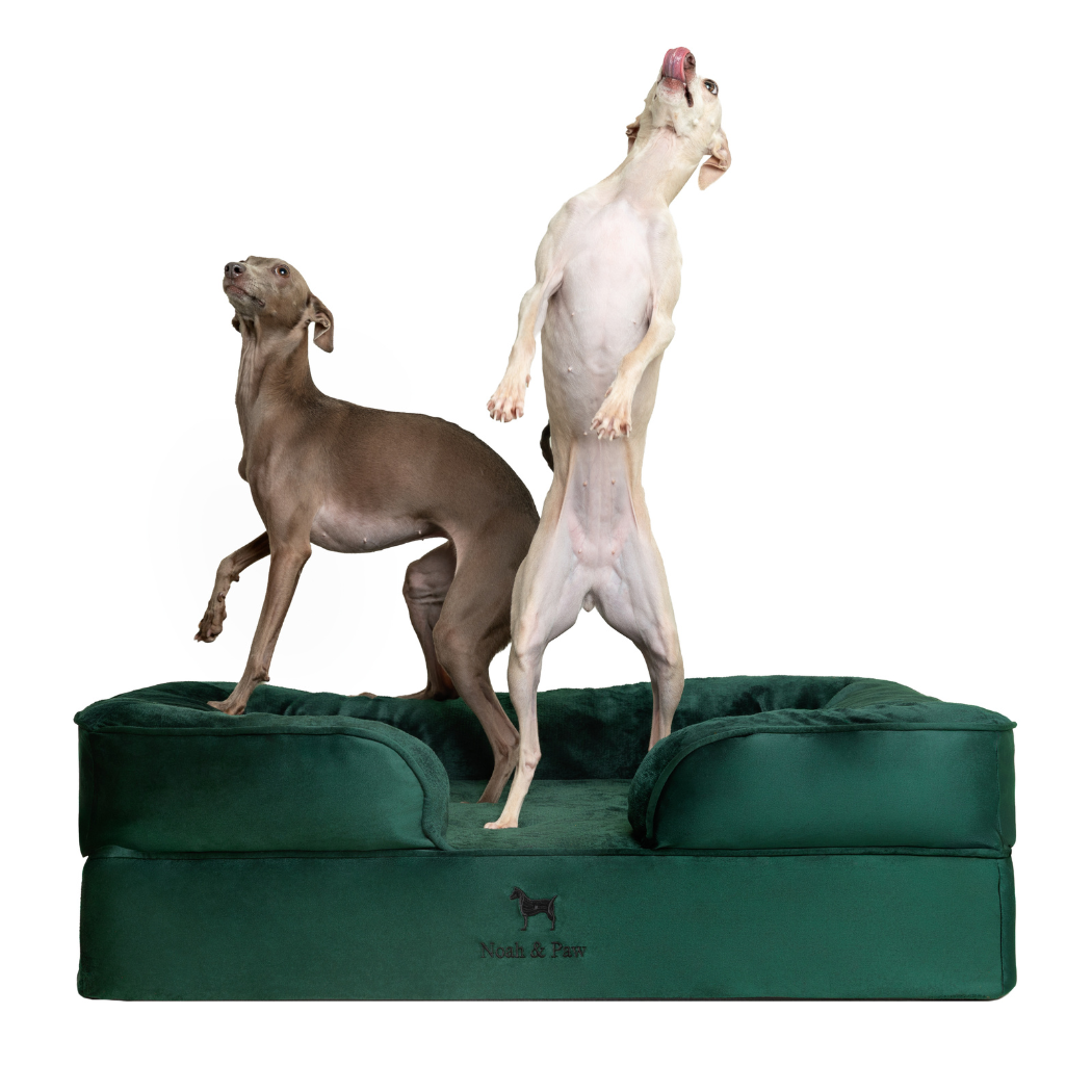 NOAH AND PAW LLC - Velvet Orthopedic Pet Bed, Memory Foam, Infused with Cooling Gel