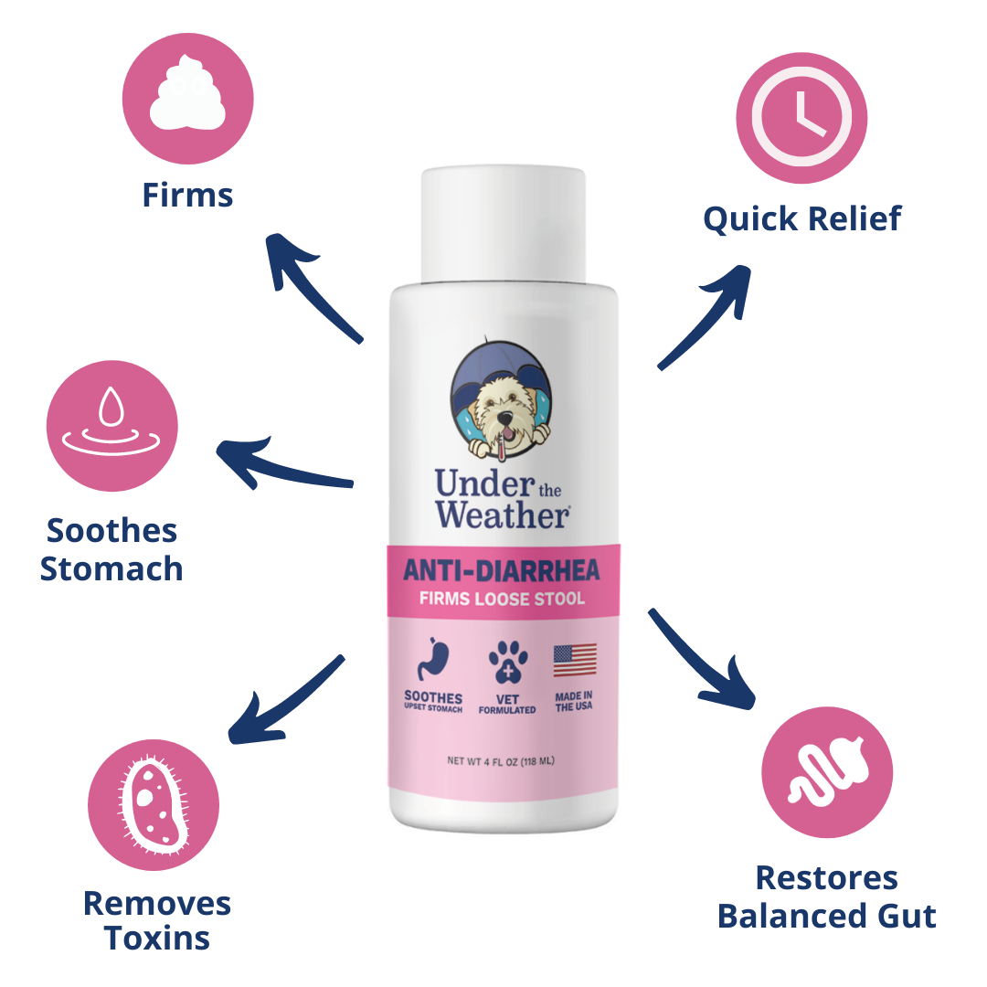 Under the Weather Pet - Anti-Diarrhea Liquid For Dogs