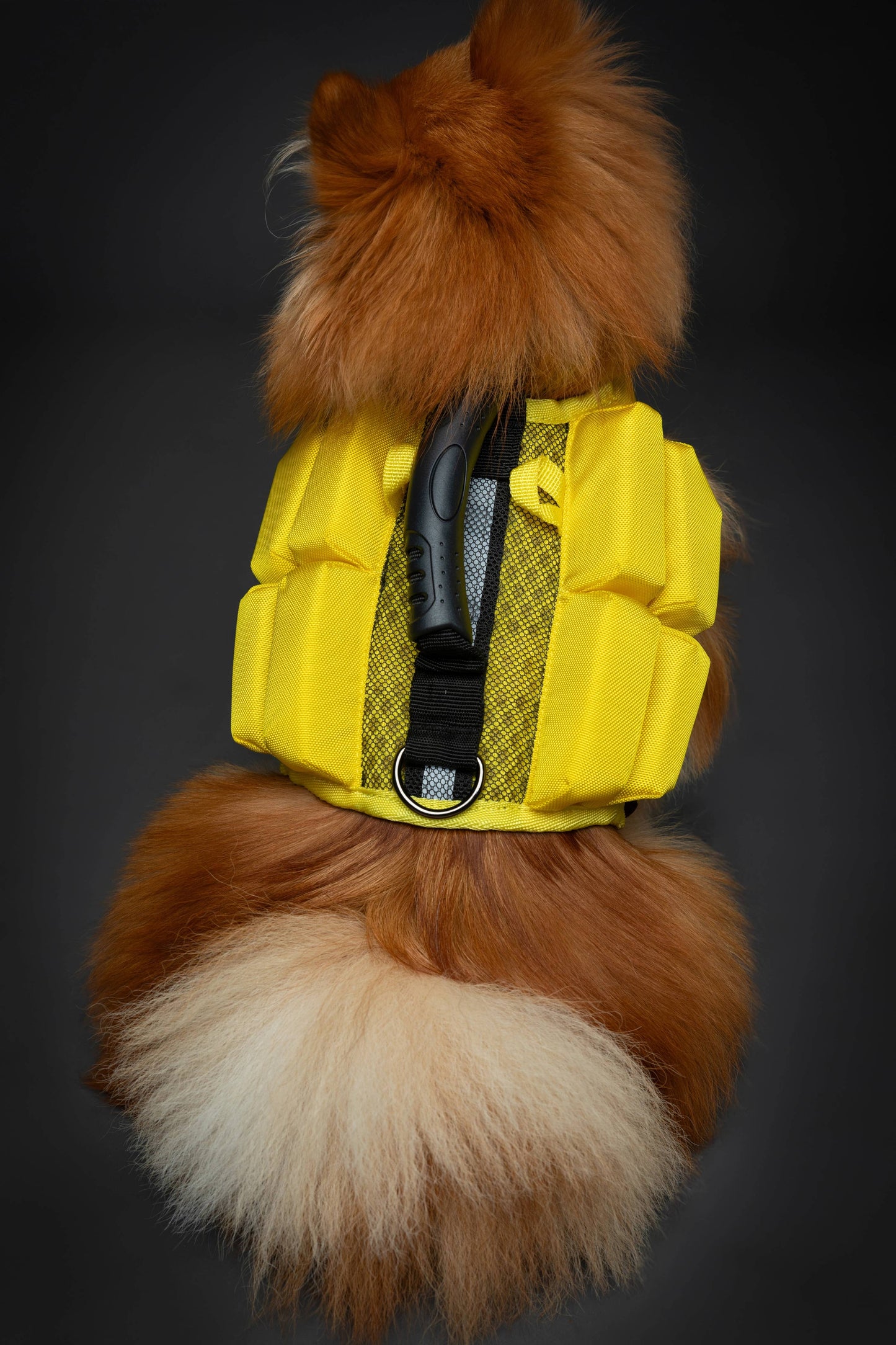 NOAH AND PAW LLC - Human Standards Dog Lifejacket Design with 4x Foam Support for Max Floating - Yellow