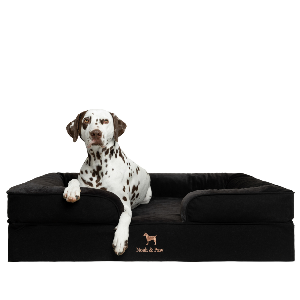NOAH AND PAW LLC - Denim Orthopedic Pet Bed, Memory Foam, Infused with Cooling Gel
