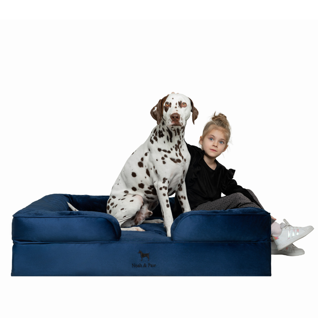 NOAH AND PAW LLC - Velvet Orthopedic Pet Bed, Memory Foam, Infused with Cooling Gel