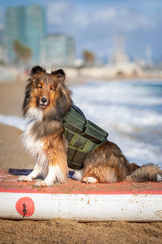 NOAH AND PAW LLC - Human Standards Dog Lifejacket Design with 4x Foam Support for Max Floating - Green