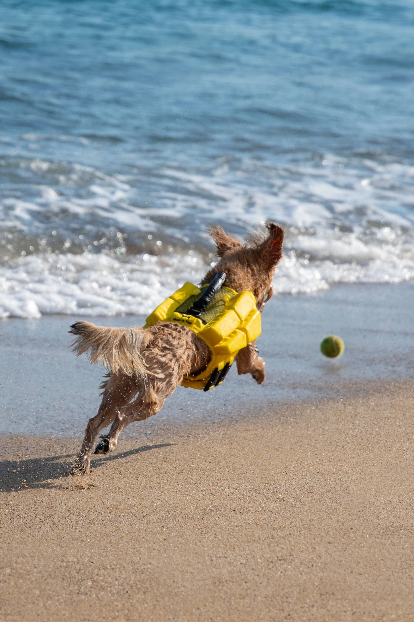 NOAH AND PAW LLC - Human Standards Dog Lifejacket Design with 4x Foam Support for Max Floating - Yellow