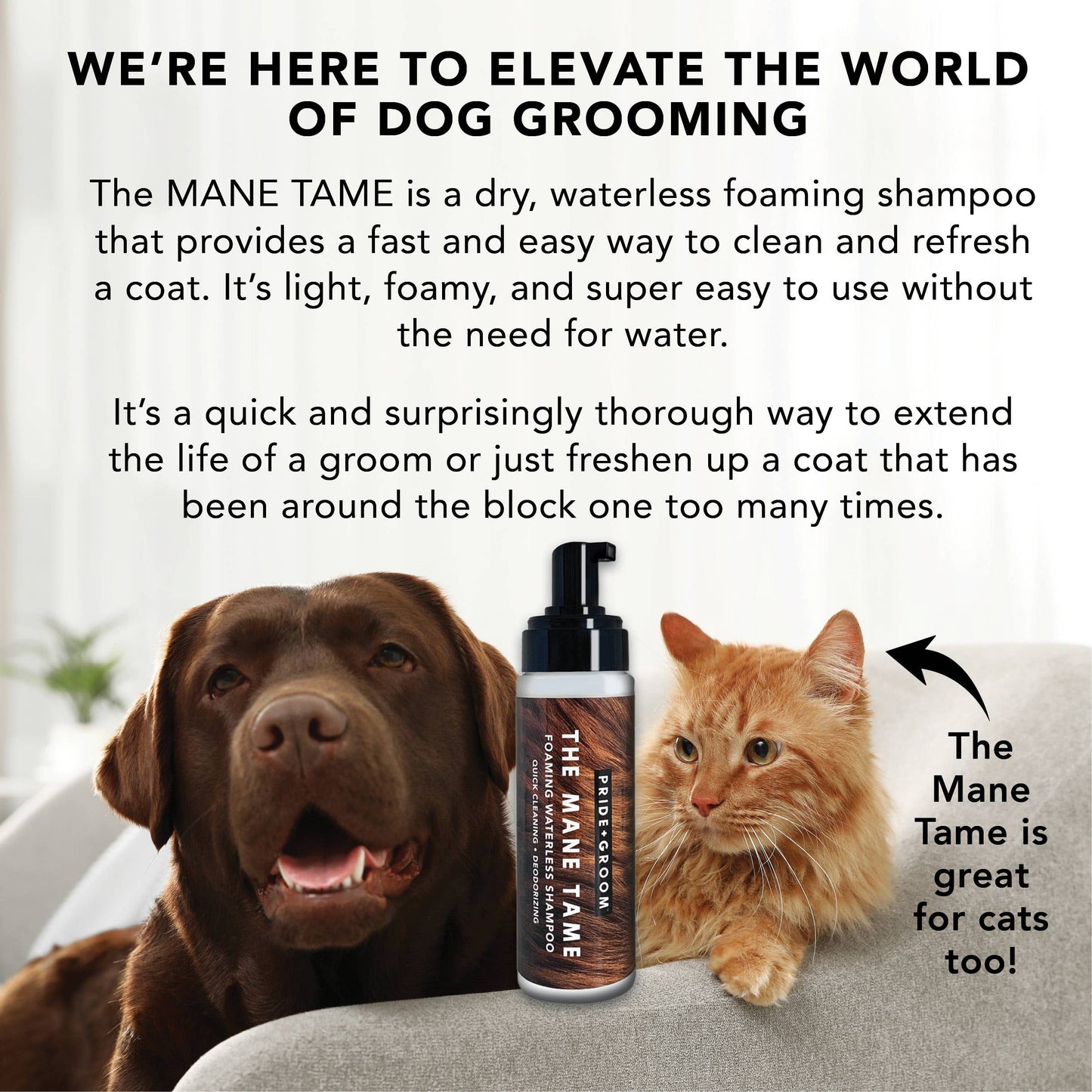 PRIDE+GROOM - THE MANE TAME | WATERLESS SHAMPOO FOAM