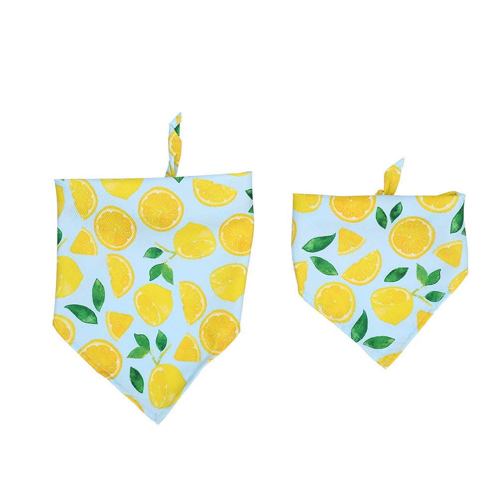 Cheerhunting - Furbud - Summer Pet Bandana