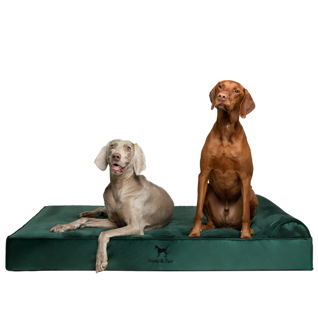 NOAH AND PAW LLC - Velvet Orthopedic Pet Bed, Memory Foam, Infused with Cooling Gel - Classic