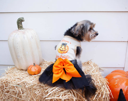 House of FurBaby - Halloween Dog Costume | Mommy's or Daddy's Little Pumpkin
