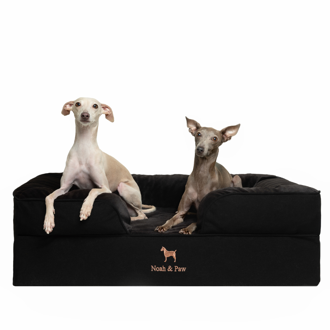 NOAH AND PAW LLC - Denim Orthopedic Pet Bed, Memory Foam, Infused with Cooling Gel