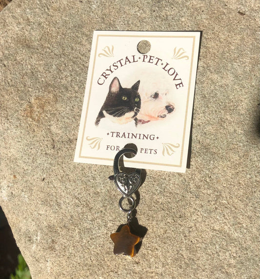 Crystal Pet Love - Tiger's Eye Star Pendant