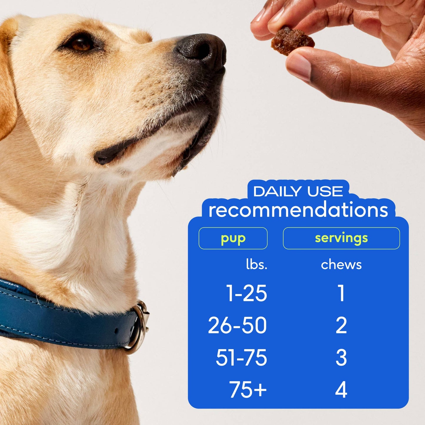 Native Pet - Skin + Coat Chews, Skin & Coat Supplement for Dogs